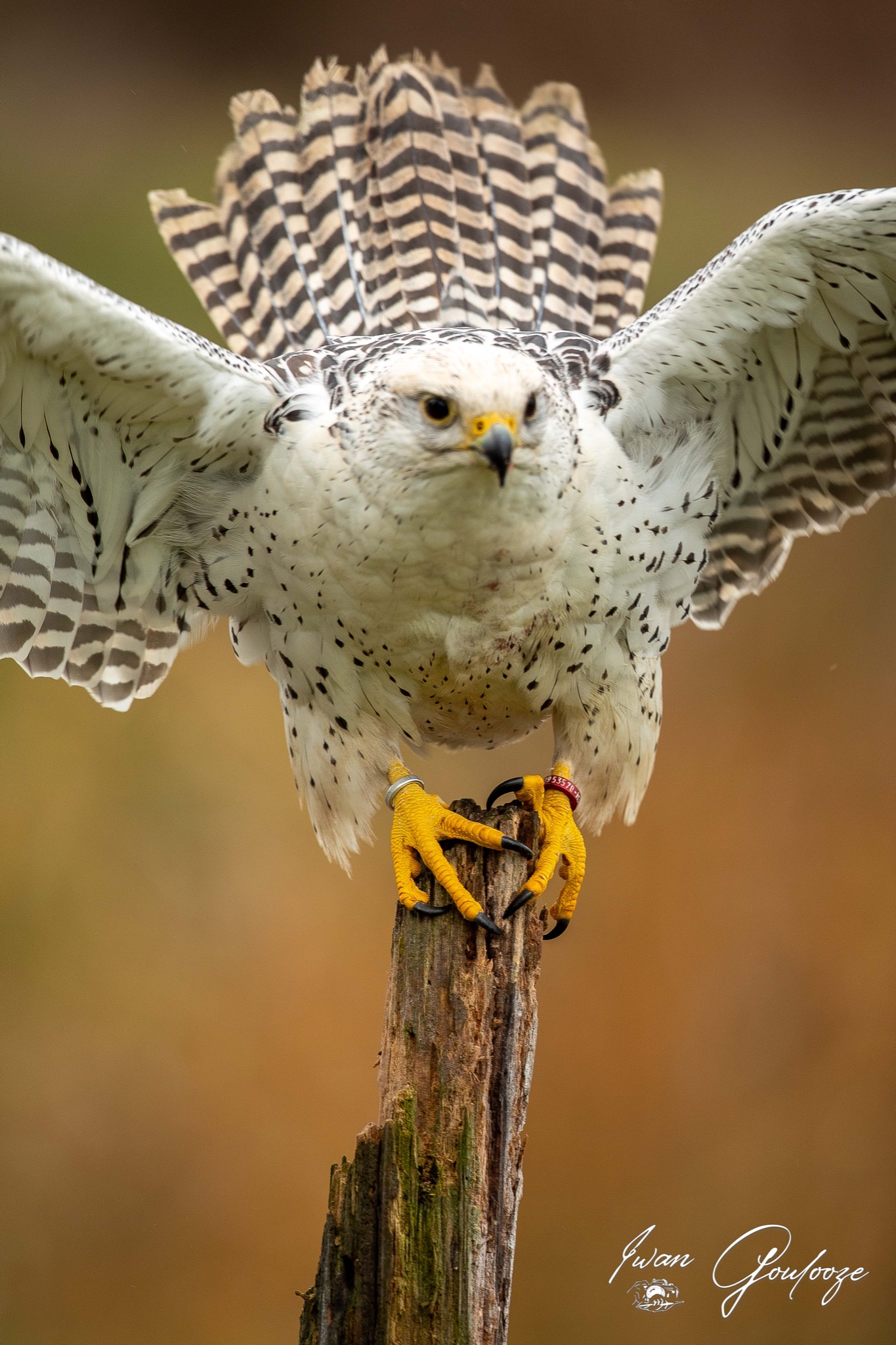  5D40487 28 november 2021 1223 55